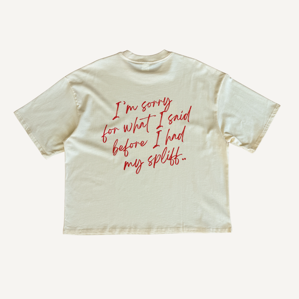 Sorry For What I Said..